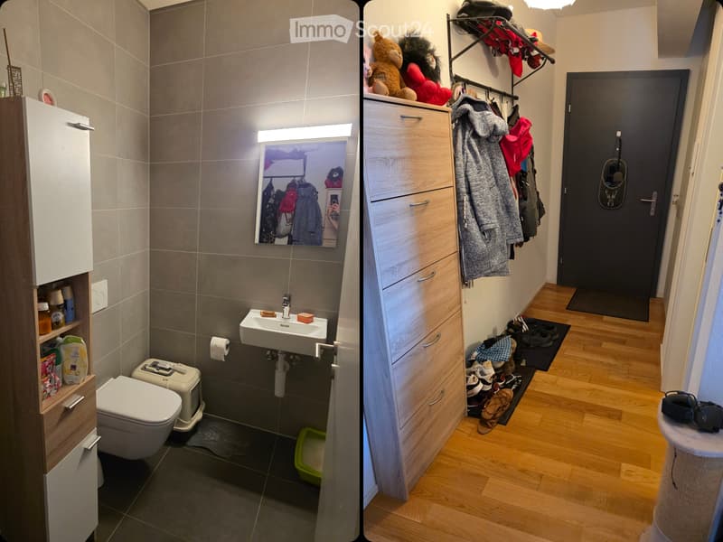 Superbe appartement minergie (3)