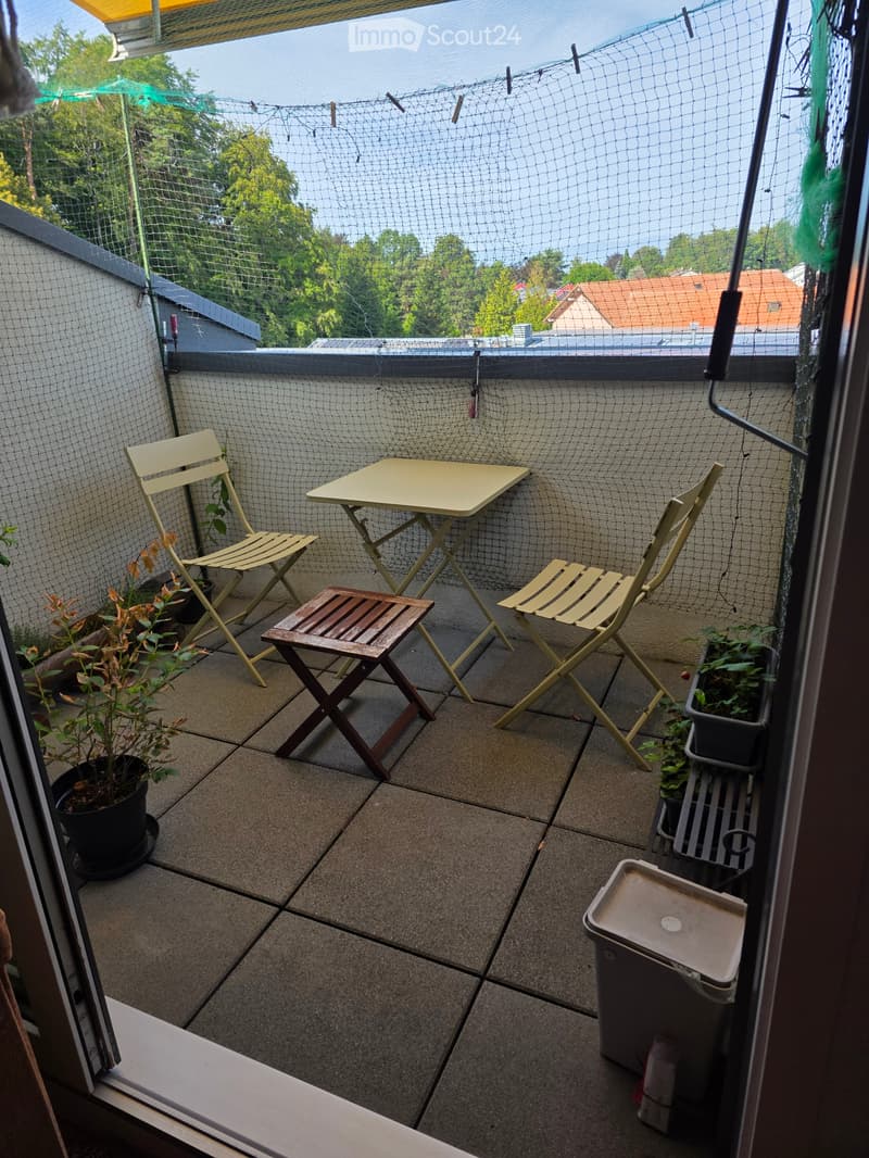 Superbe appartement minergie (1)