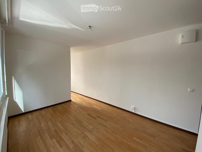 Schönes möbliertes oder leeres Studio (5)