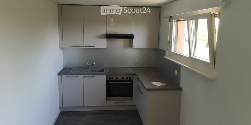 Magnifique appartement de 2,5 pièces - jolie vue sur le lac (2)