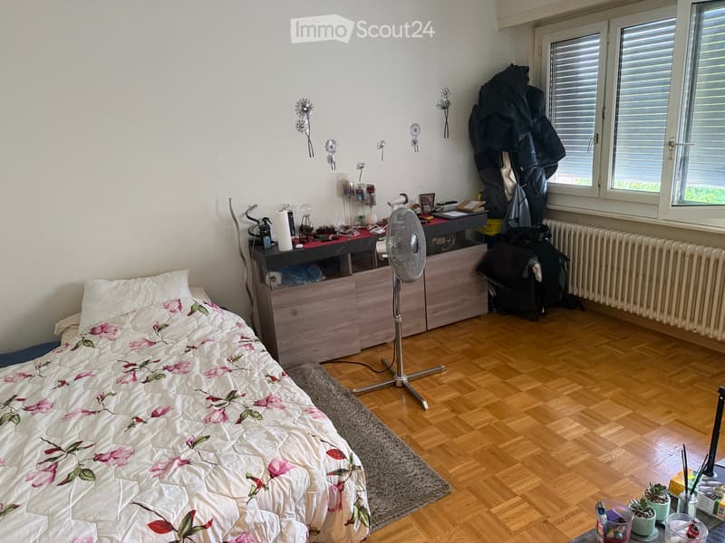 Studio in La Sallaz Lausanne (2)