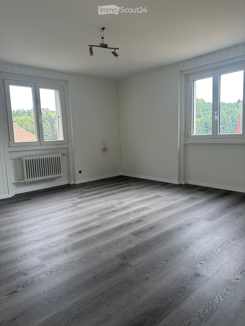 For rent renovated apartment with garden in Mannens (3)