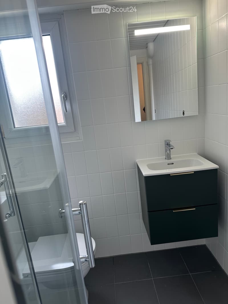 For rent renovated apartment with garden in Mannens (2)