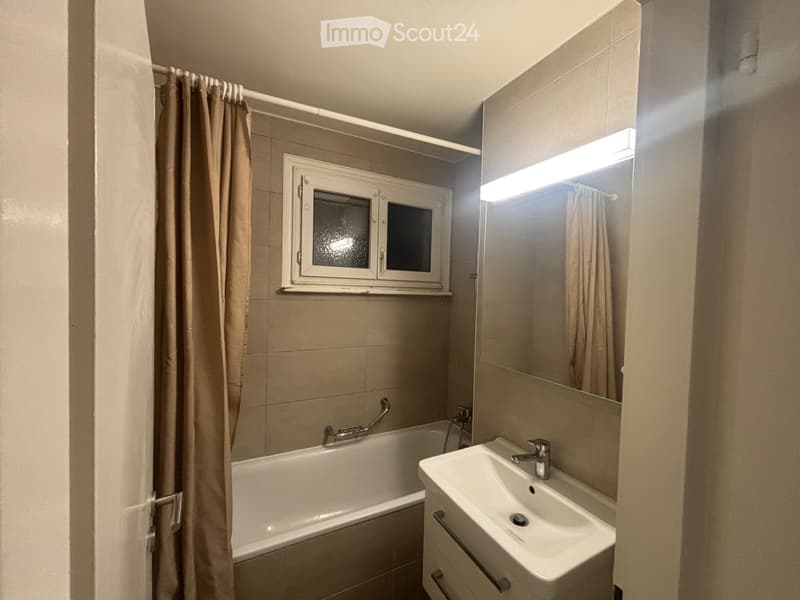Appartement lumineux (3)
