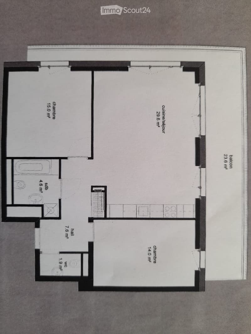 Location d'un magnifique appartement 3.5 pièces (5)