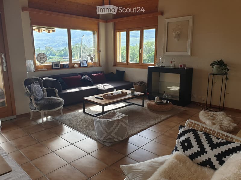 Appartement spacieux près promenade du Rhône (1)