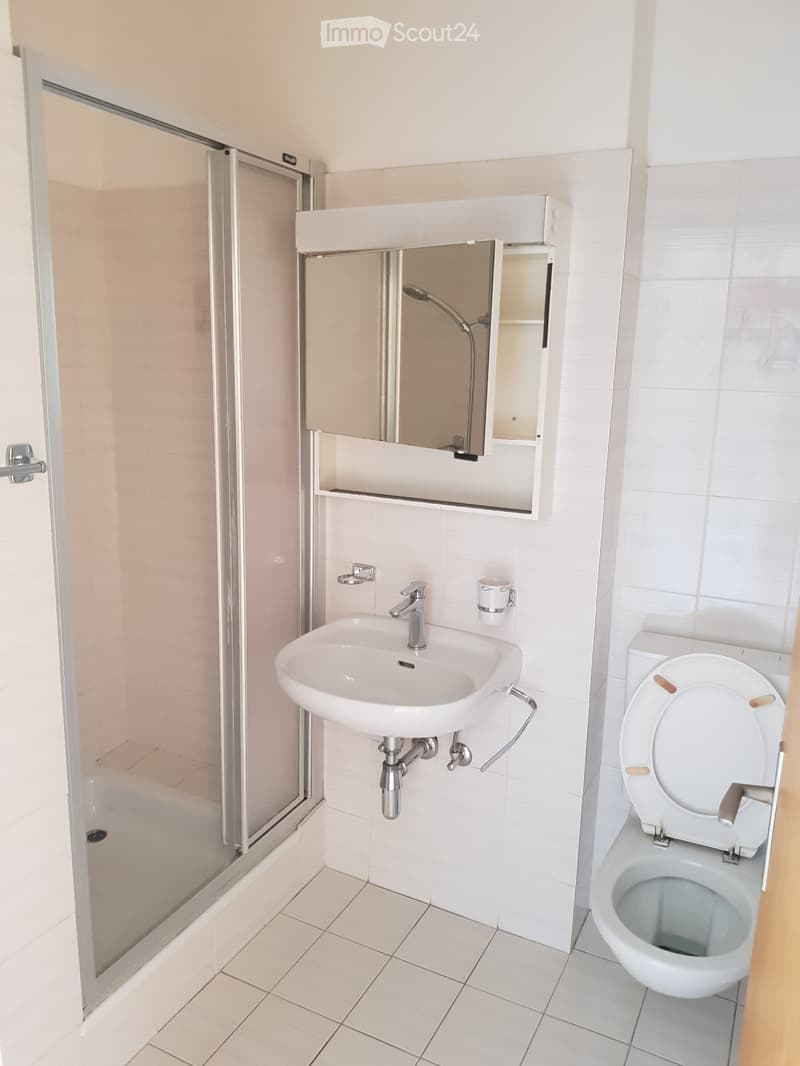 Appartement spacieux près promenade du Rhône (3)