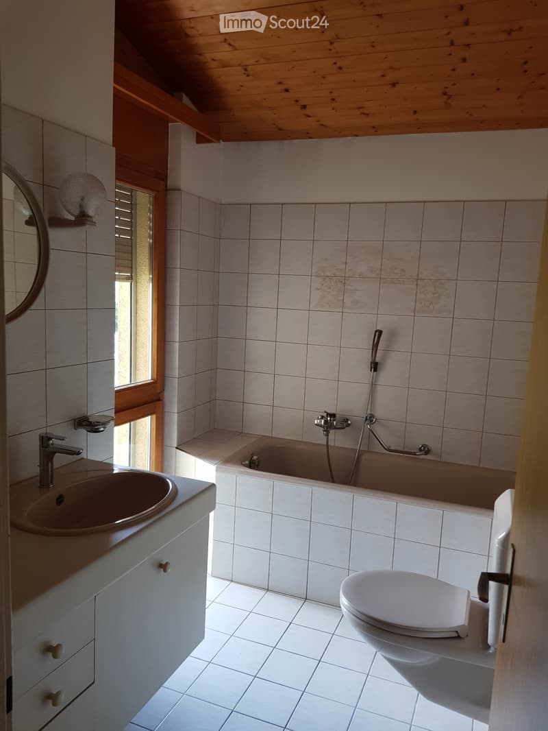 Appartement spacieux près promenade du Rhône (4)