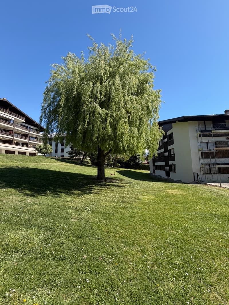 Incantevole appartamento di 2,5 locali in fase di ristrutturazione (5)