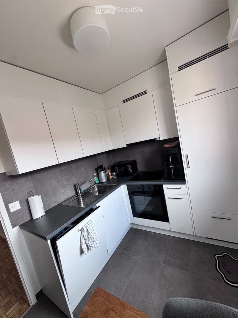 To be let, Charming 2-room apartment in Ecublens (VD) (3)