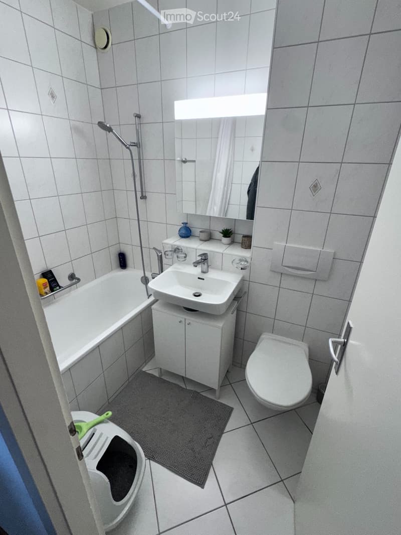 To be let, Charming 2-room apartment in Ecublens (VD) (4)