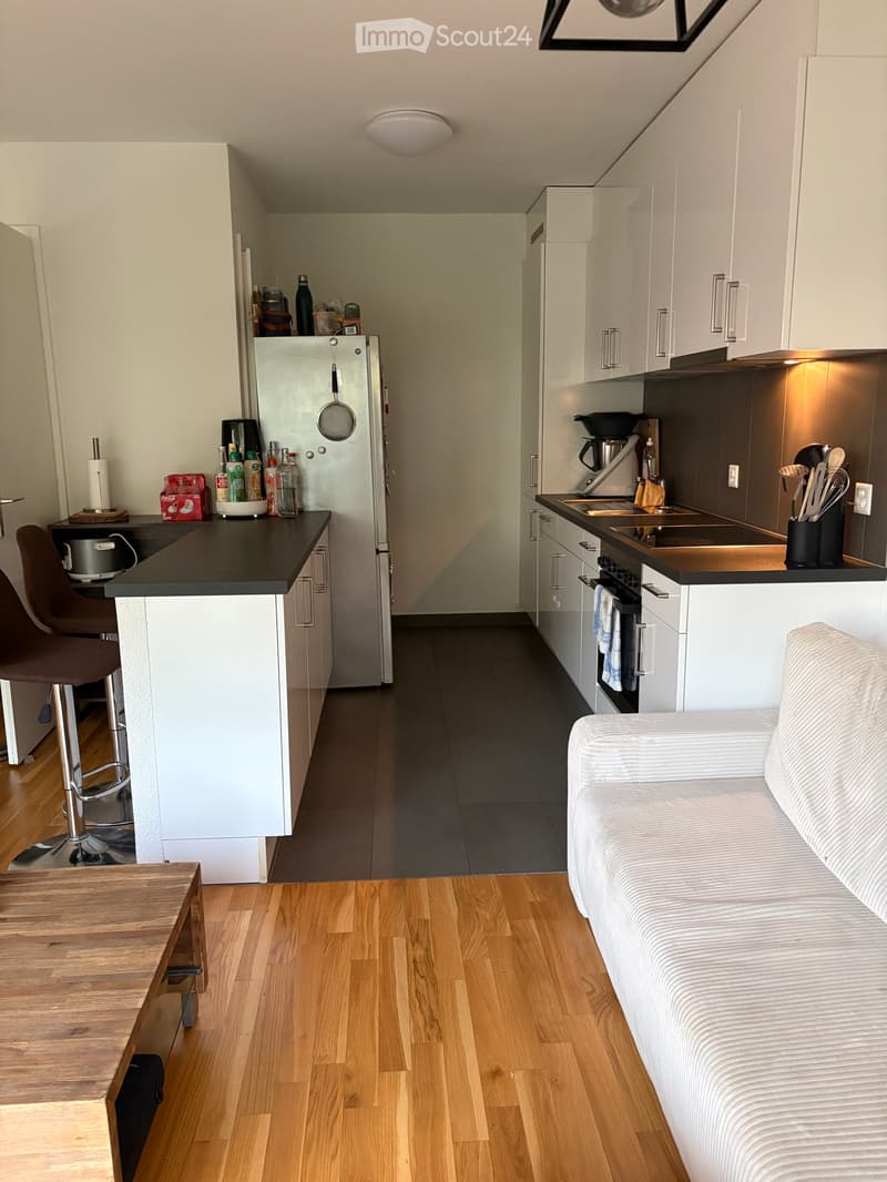 Wohnung 3,5 Zimmer Penthaz (2)