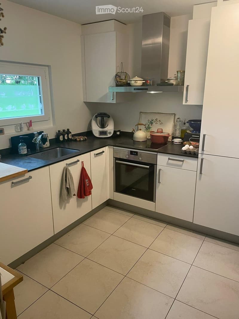 MAGNIFIQUE DUPLEX 4.5 PIÈCES DE 150 m² À ÉPAGNY (3)