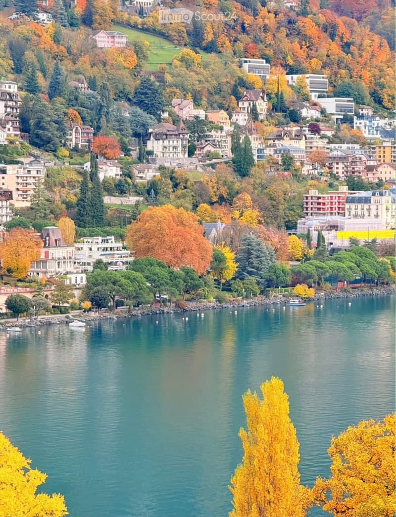 Bella 2 pezzi appartamento MEUBLÉ MONTREUX (5)