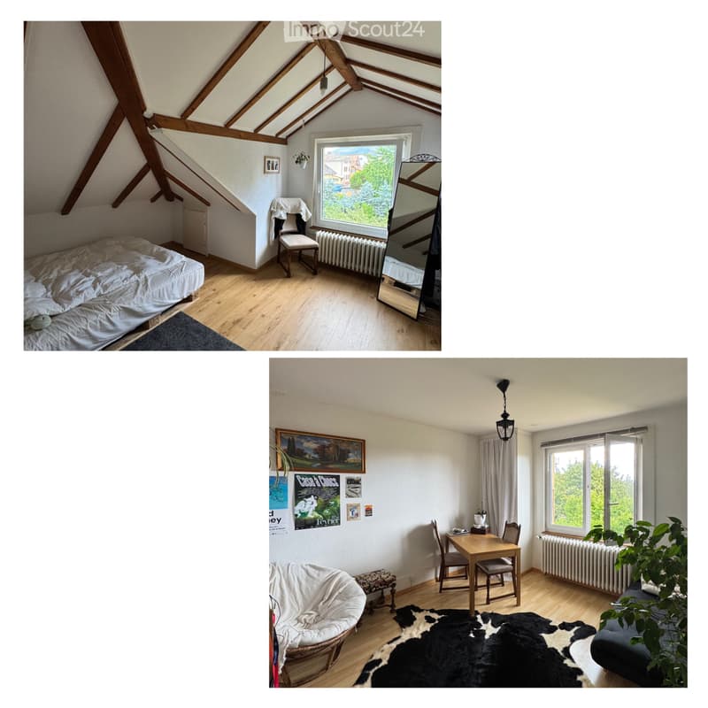 Charmant petit appartement sous les toits de Corcelles (1)
