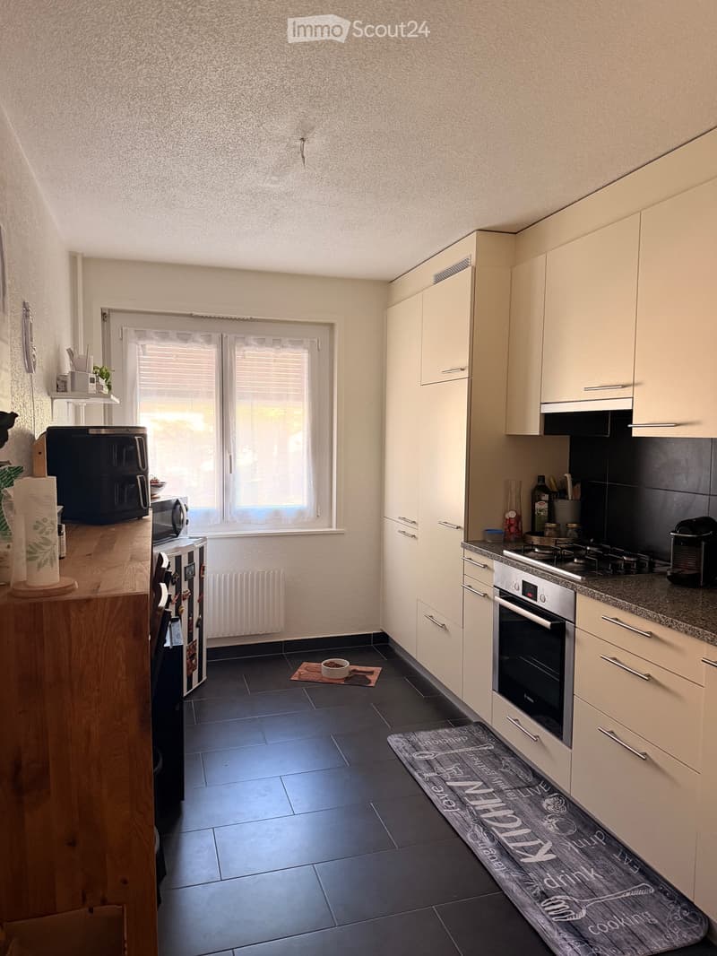 Appartamento in affitto 4,5 locali (4)