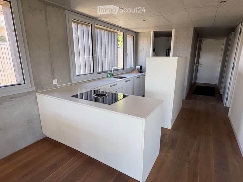Schönes 3.5-Zimmer-Apartment (1)