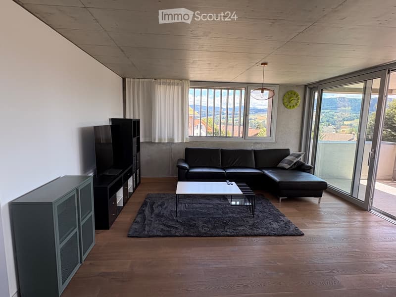 Schönes 3.5-Zimmer-Apartment (3)