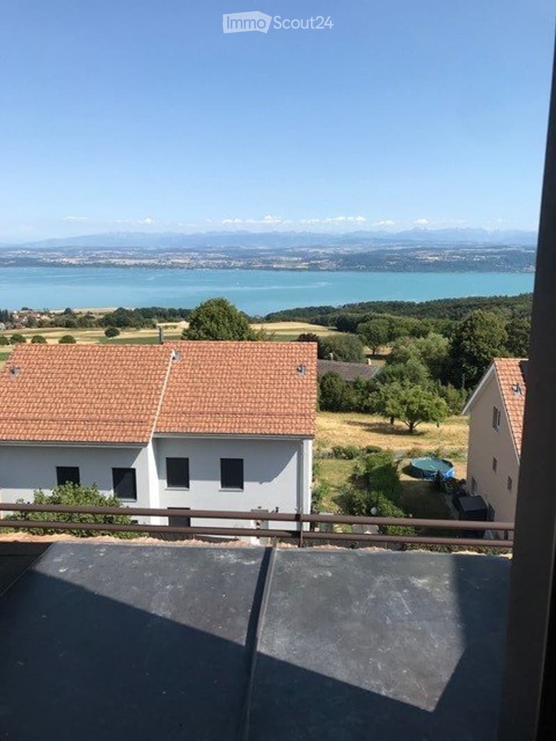 Magnifique attique avec vue imprenable (1)