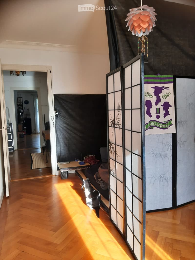 2 Zimmer hell in Pérolles (2)