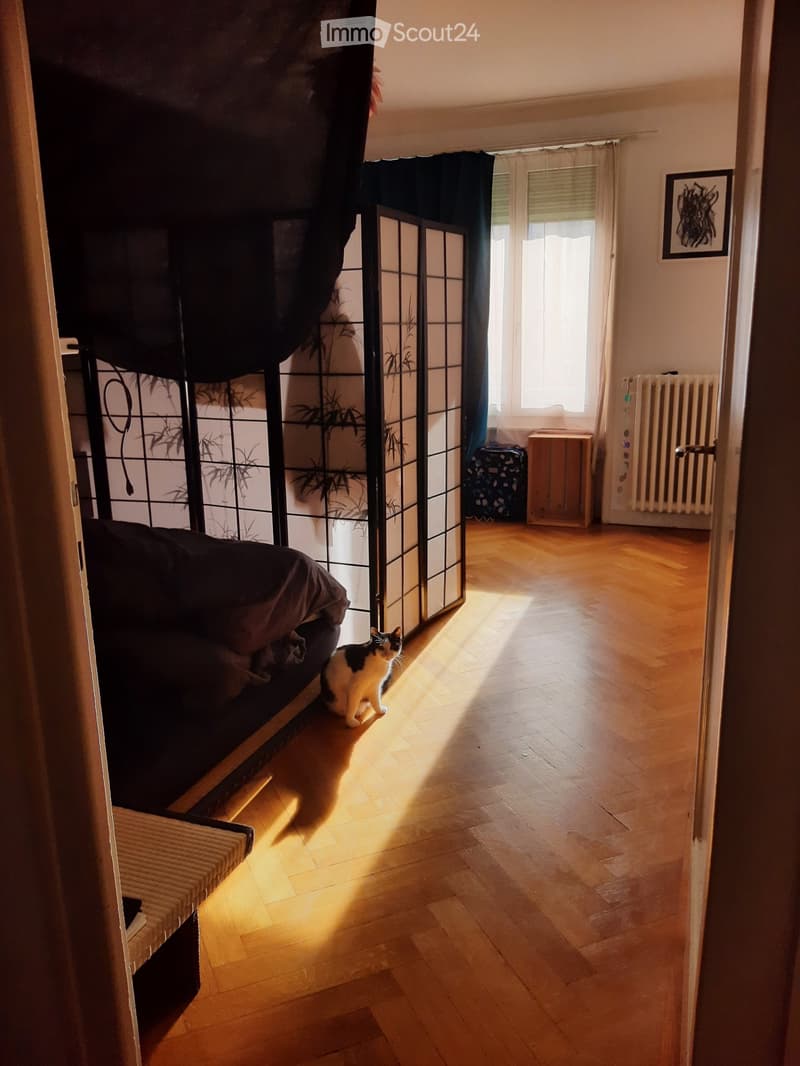 2 Zimmer hell in Pérolles (1)