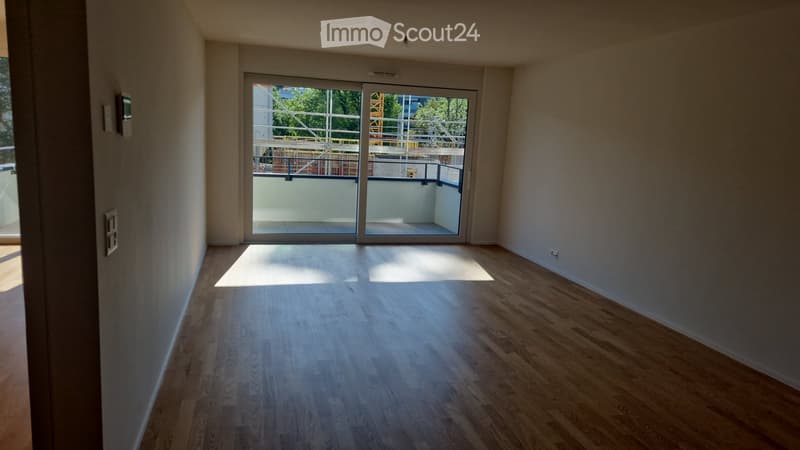 Appartamento in affitto tutto nuovo (4)