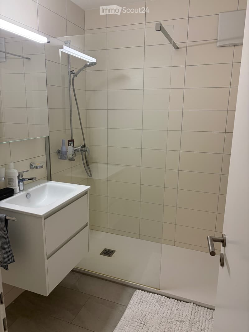 Wohnung 3.5 Zimmer zur Miete (5)