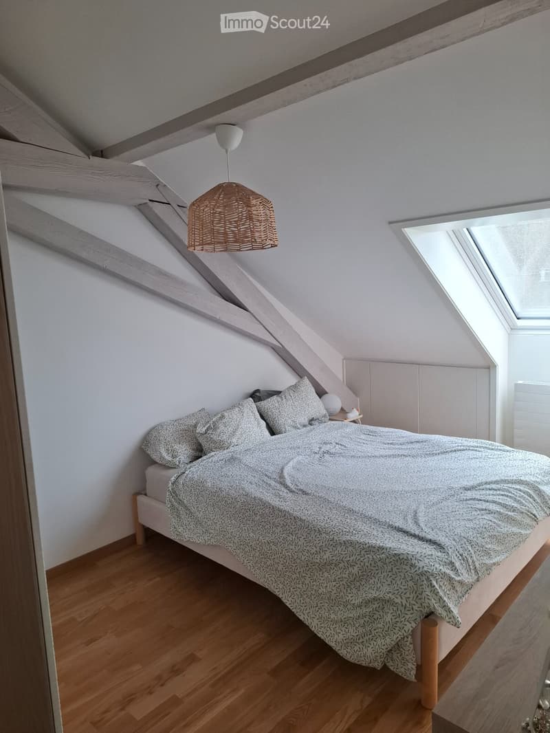 Extracentre - 2.5pcs - charmant et calme (3)