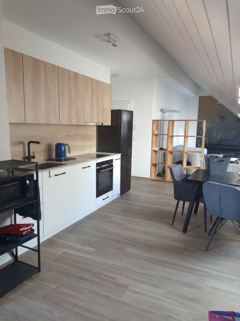 Studio meublé, 49 m2 au sol, charges comprises (1)