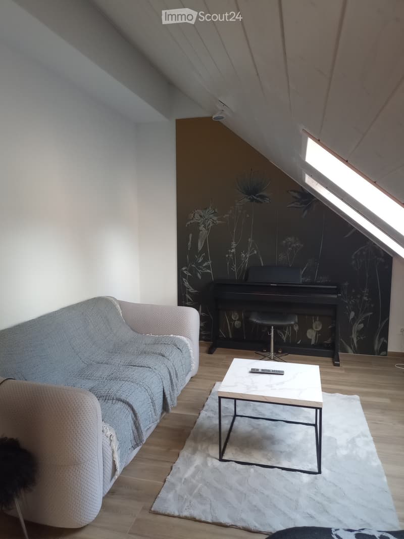 Studio meublé, 49 m2 au sol, charges comprises (4)