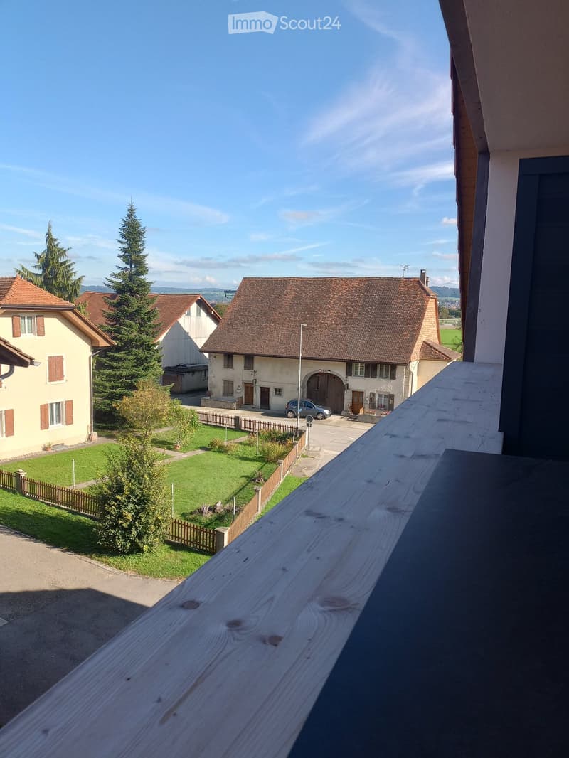 Studio meublé, 49 m2 au sol, charges comprises (9)