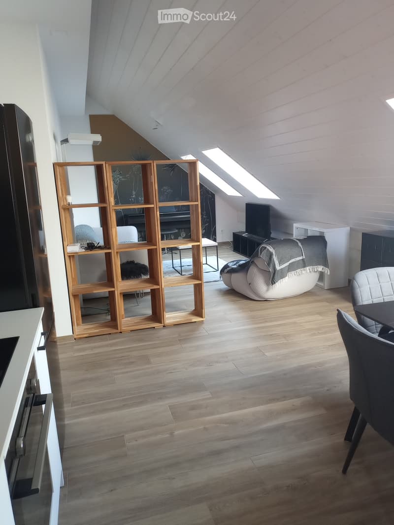 Studio meublé, 49 m2 au sol, charges comprises (2)