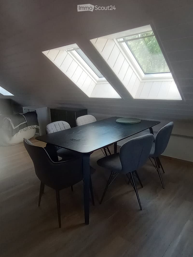 Studio meublé, 49 m2 au sol, charges comprises (5)