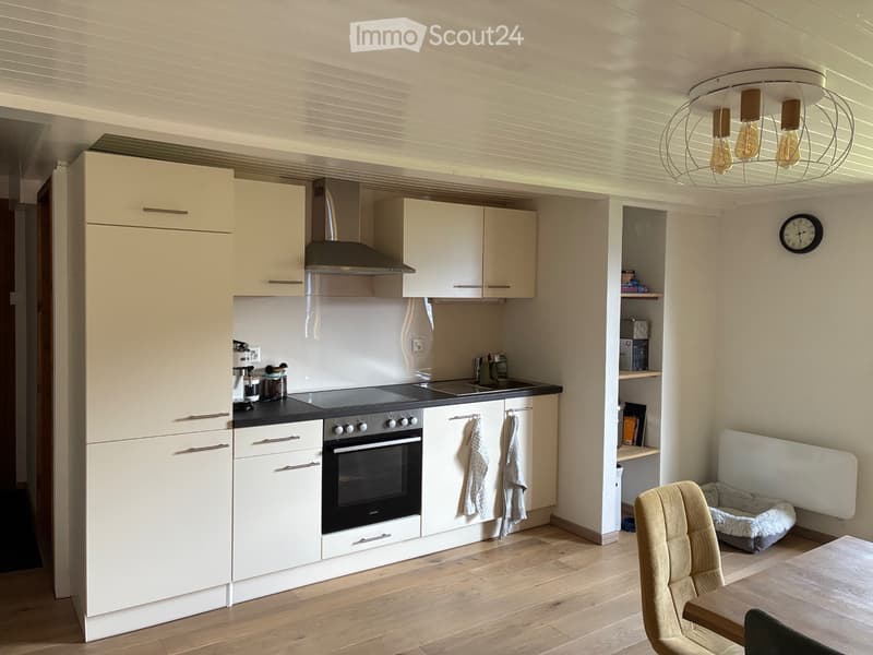 Chaleureux appartement de 55m2 (4)