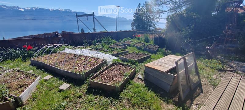 A room so free in an Ecovillage (4)