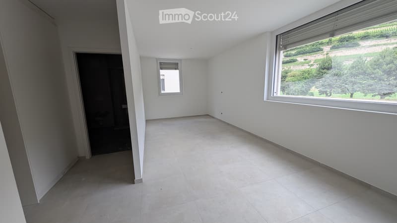 Studio neuf à Sion ( Uvrier) (1)