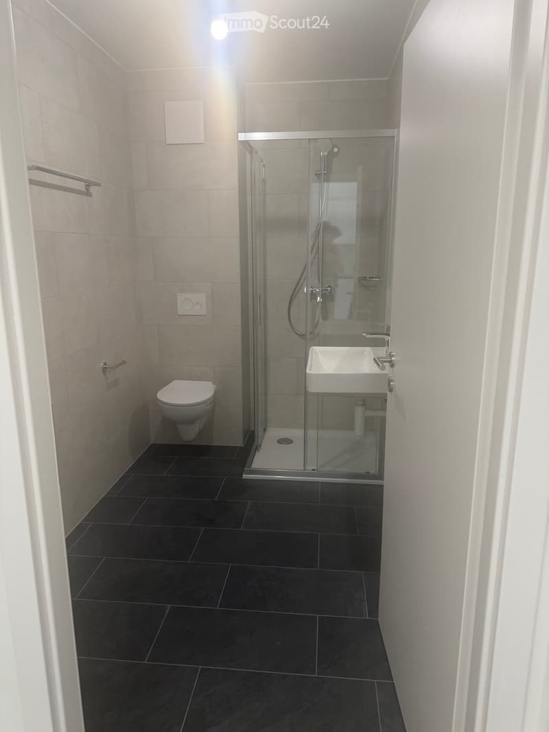 Studio neuf à Sion ( Uvrier) (4)
