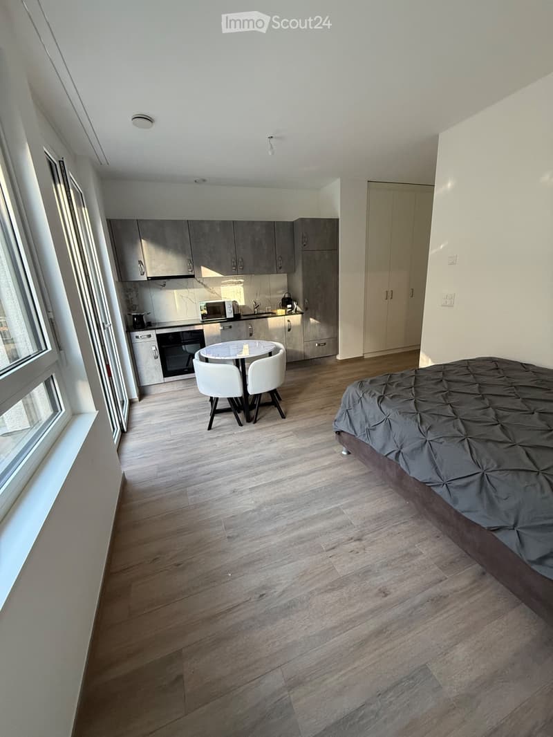 New furnished studio at Green Parc in Sion (1)
