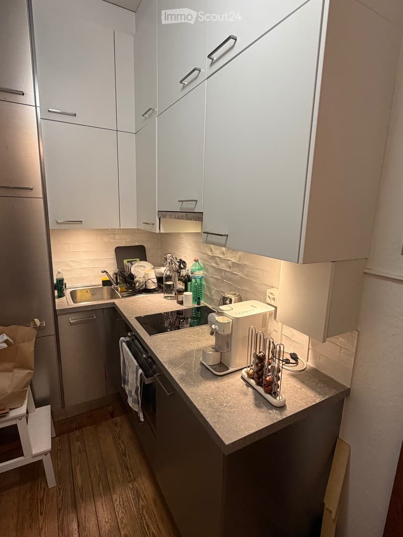 Appartamento di 45 m², completamente arredato agli Eaux Vives (5)