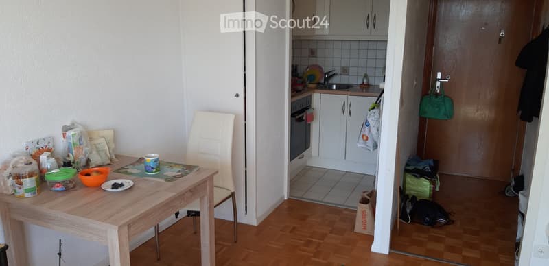 Übernahme Mietvertrag 1.5 Zimmer Meinier (5)