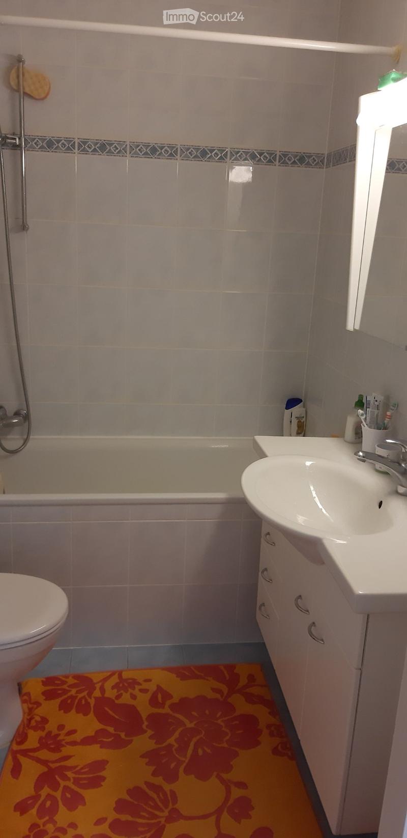 Übernahme Mietvertrag 1.5 Zimmer Meinier (3)