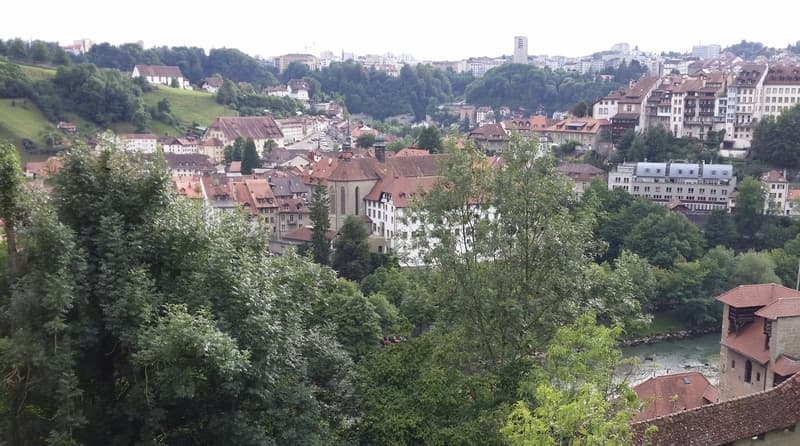 2,5 locali, città di Friburgo, posizione eccezionale (1)