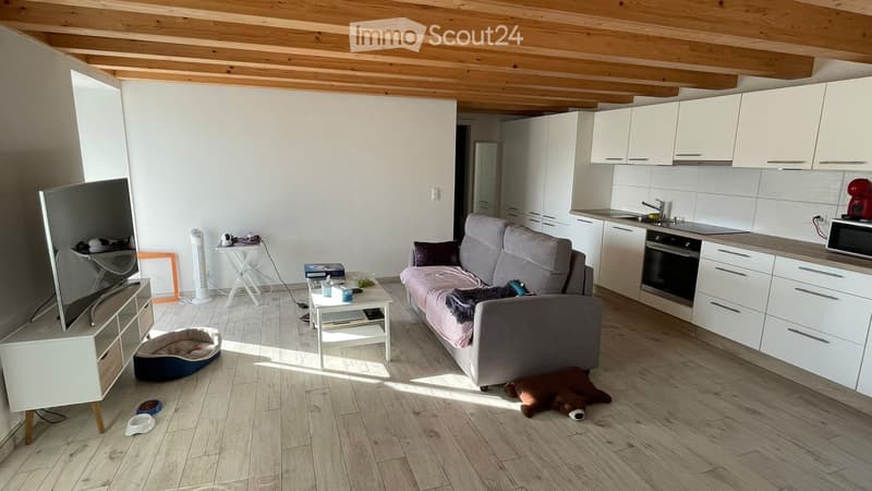 2,5 locali, città di Friburgo, posizione eccezionale (4)