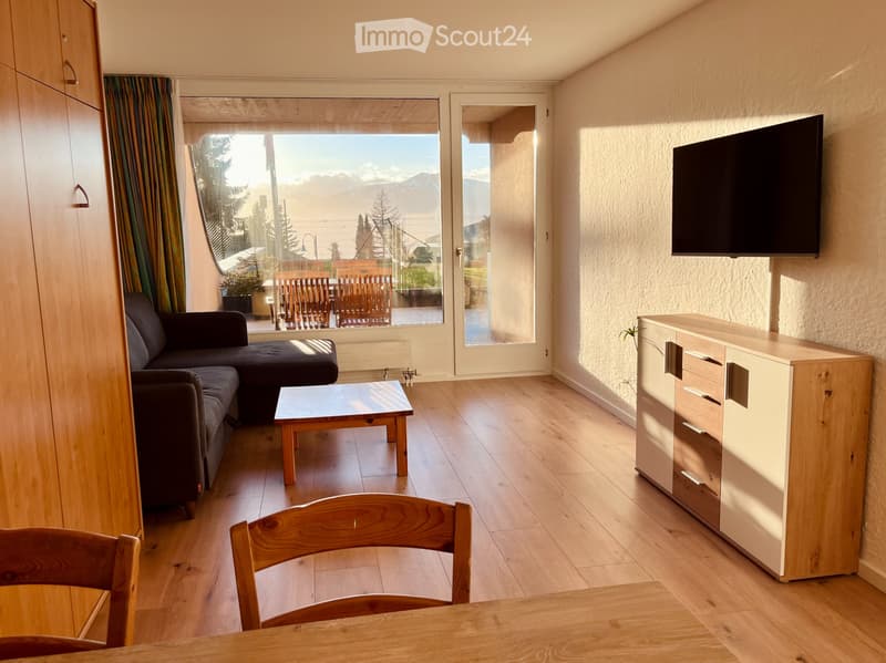 Wohnung 2,5 Zimmer, große Terrasse, Zentrum von Villars (2)