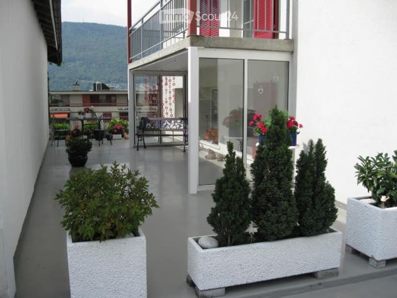 Schöne 3,5 Zimmerwohnung zu vermieten mit Balkon+Terrasse (4)