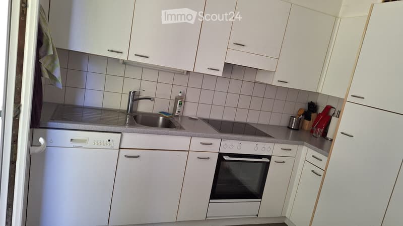 Sehr schönes 3-Zimmer-Apartment (3. Stock) in Lausanne (3)