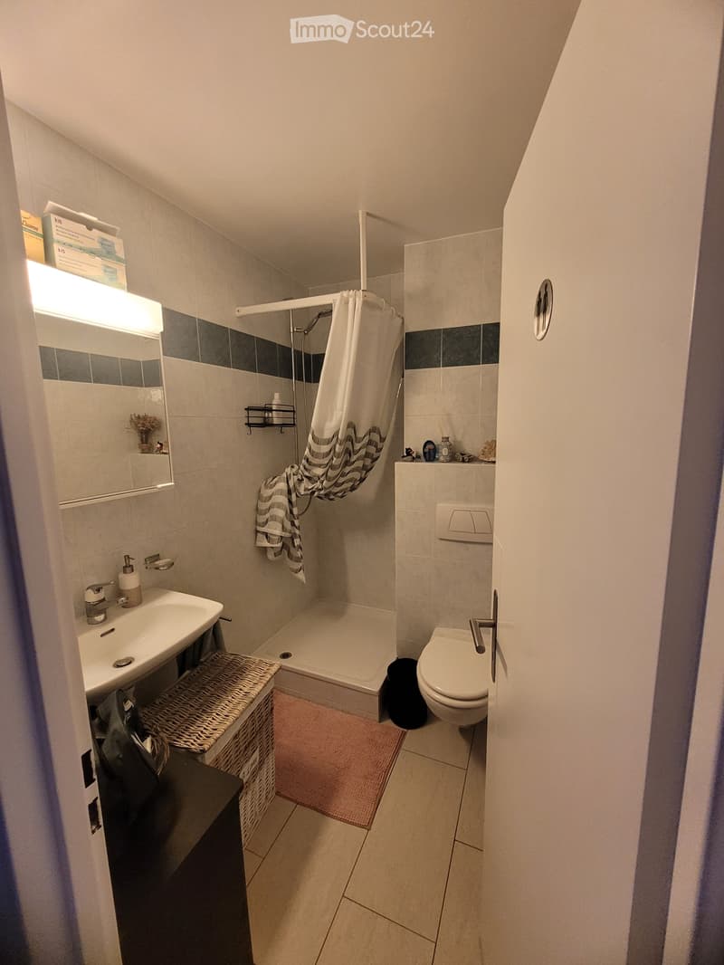 Wohnung 3.5 Zentrum Lausanne (4)