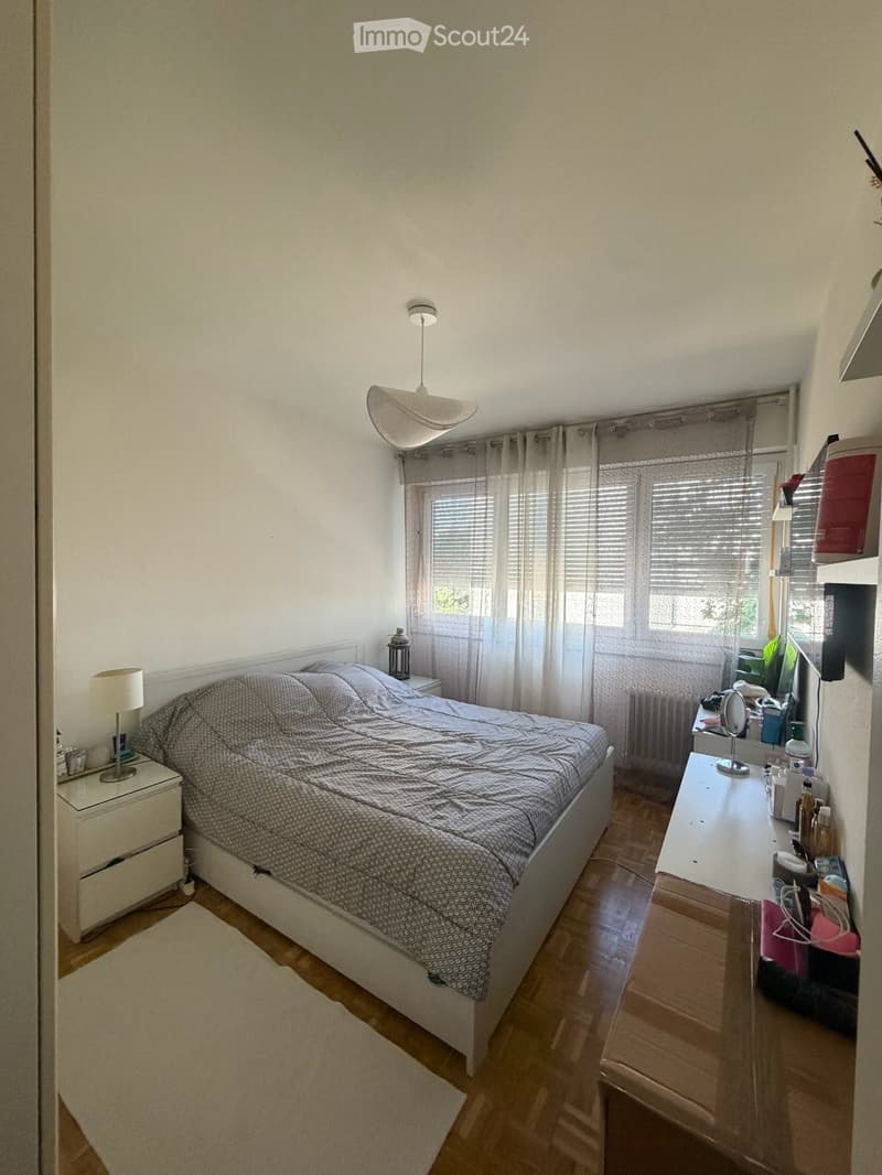 RIPRESA DEL CONTRATTO DI LOCAZIONE Superbo 5 locali ca. 100 m² Vernier (4)