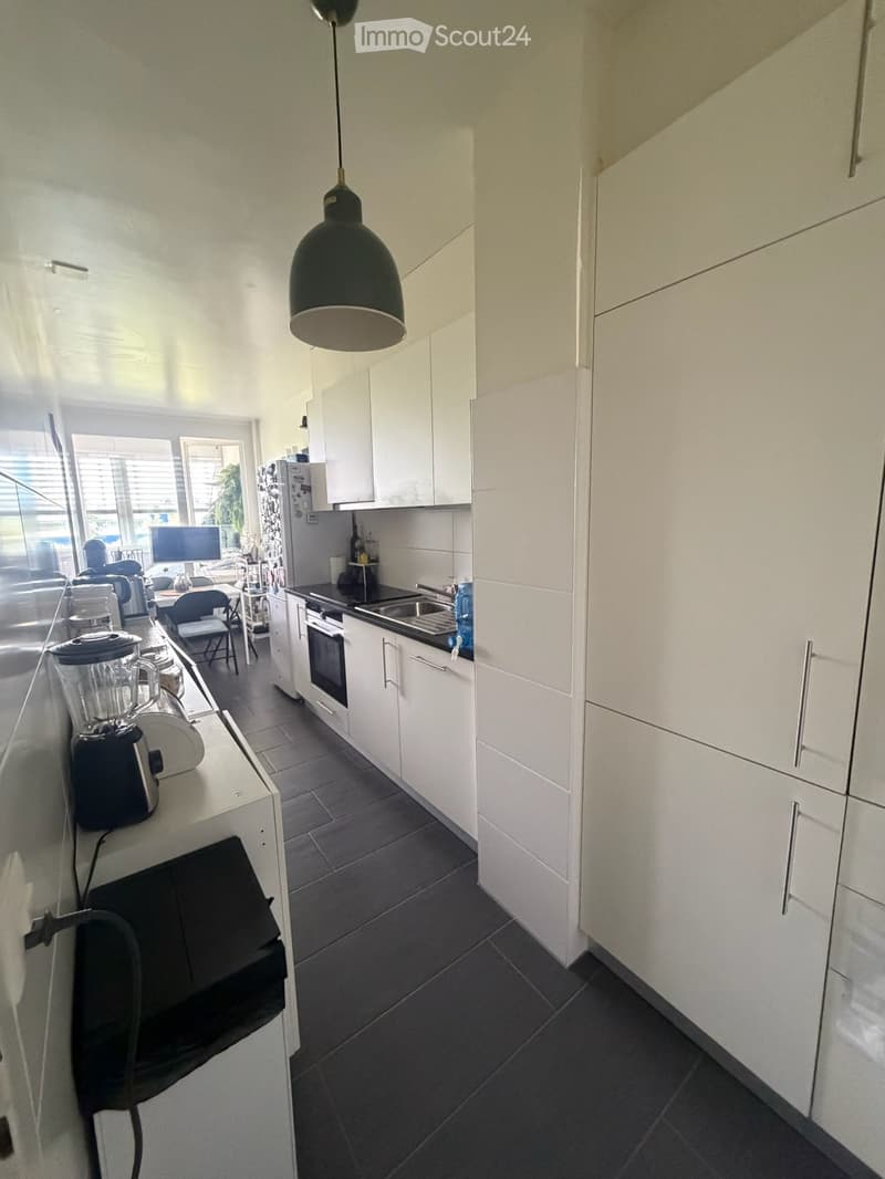RIPRESA DEL CONTRATTO DI LOCAZIONE Superbo 5 locali ca. 100 m² Vernier (3)