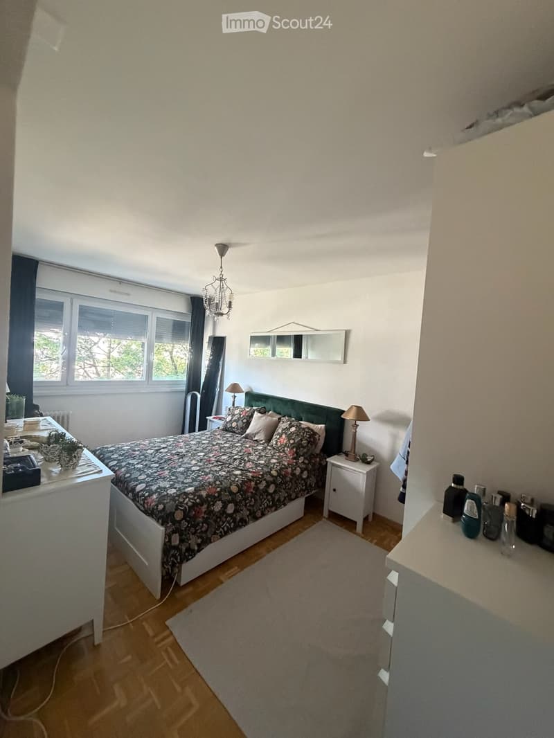 RIPRESA DEL CONTRATTO DI LOCAZIONE Superbo 5 locali ca. 100 m² Vernier (5)